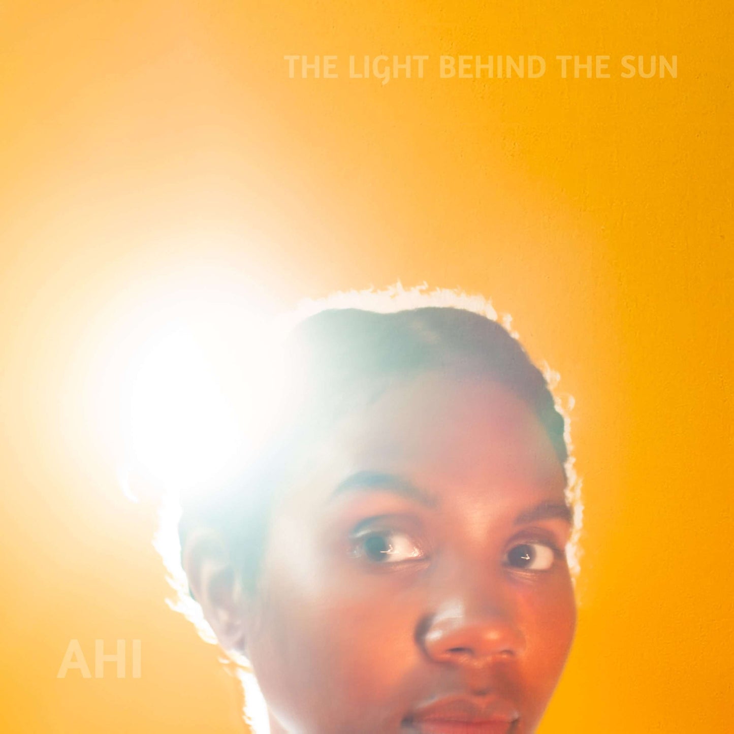 The Light Behind The Sun [Vinyl]