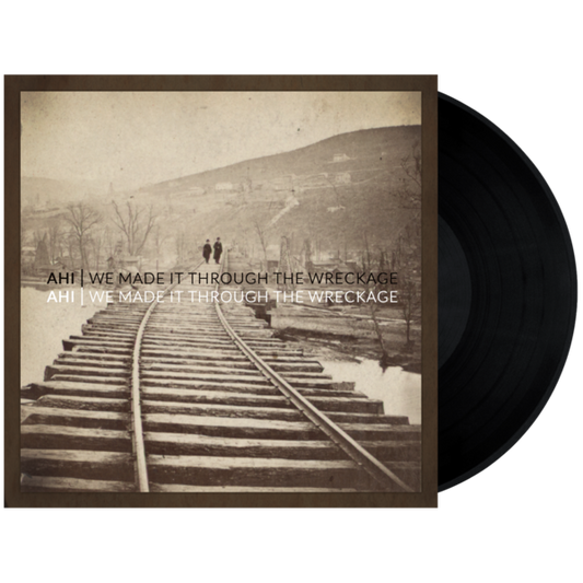 We Made It Through The Wreckage [Vinyl Record]